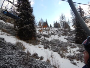 029-DSCN8875