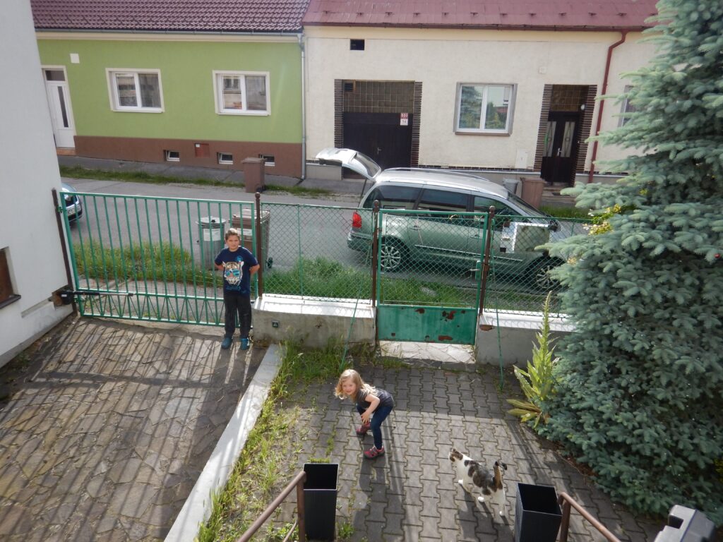 175 DSCN8603