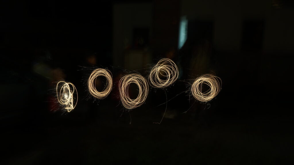 010-DSC08233