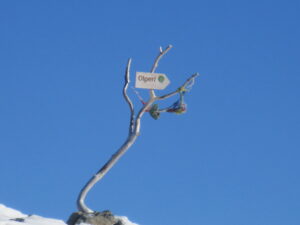 021 IMG_0165