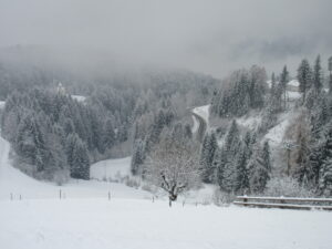 029 IMG_0200