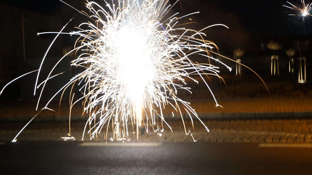 037 DSC04544