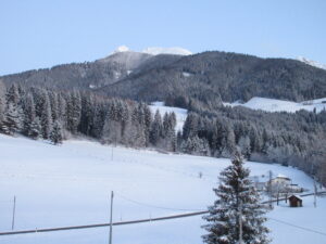 042 IMG_0223