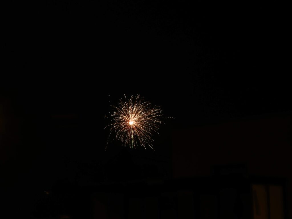 049 20210101000519_IMG_2277