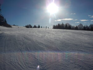 052-DSCN8528