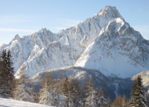 056 IMG_0252