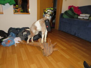 058 IMG_1828