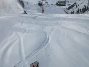 215 IMG_0059