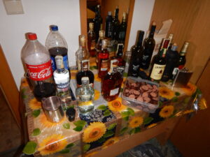 496 DSCN5883