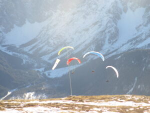 IMG_4912