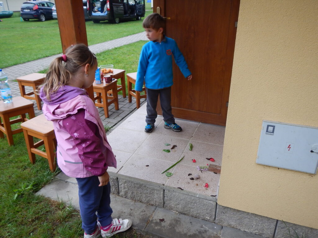 DSCN6886