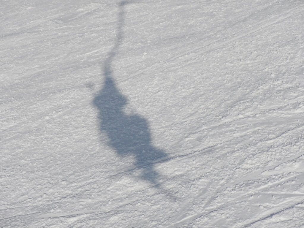 DSCN9388