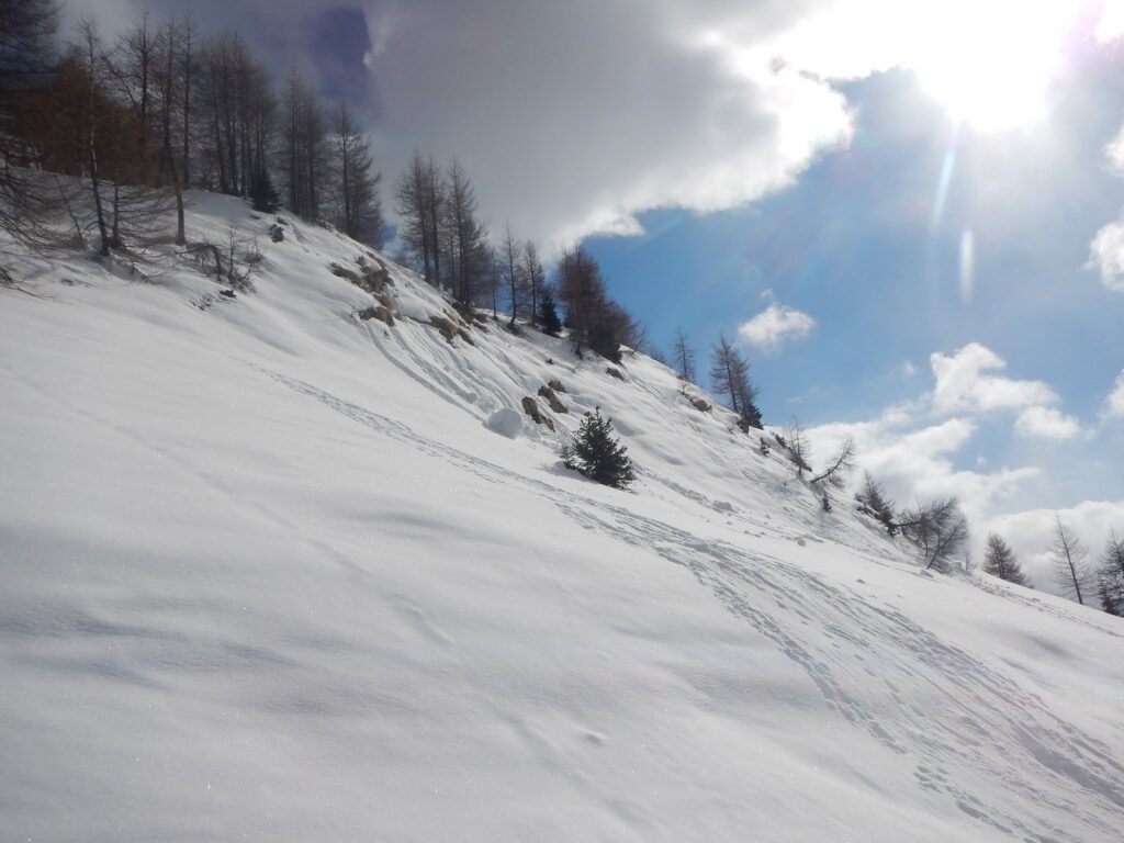 DSCN9402