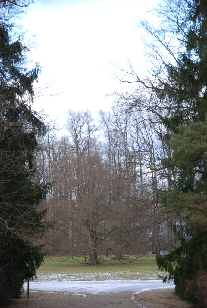 DSC_0359