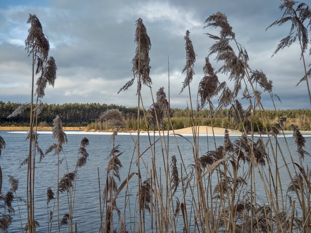 IMG_20220108_132558438_HDR