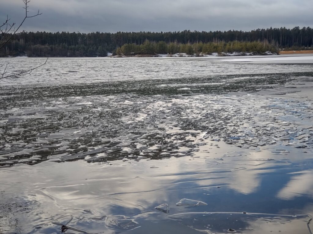 IMG_20220108_133637750_HDR
