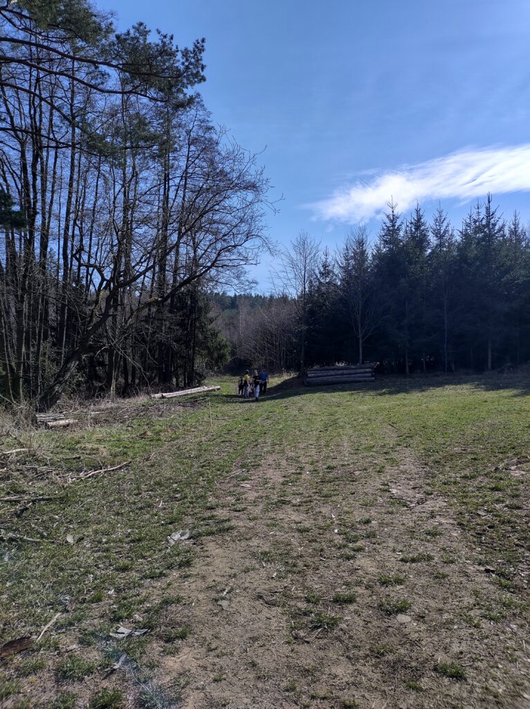 IMG_20220414_153533870_HDR~2