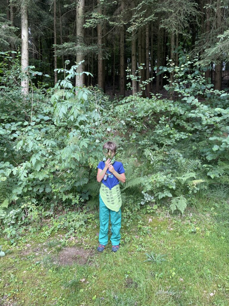 C649CF22-1921-4875-B5D5-5E3674EF35B0