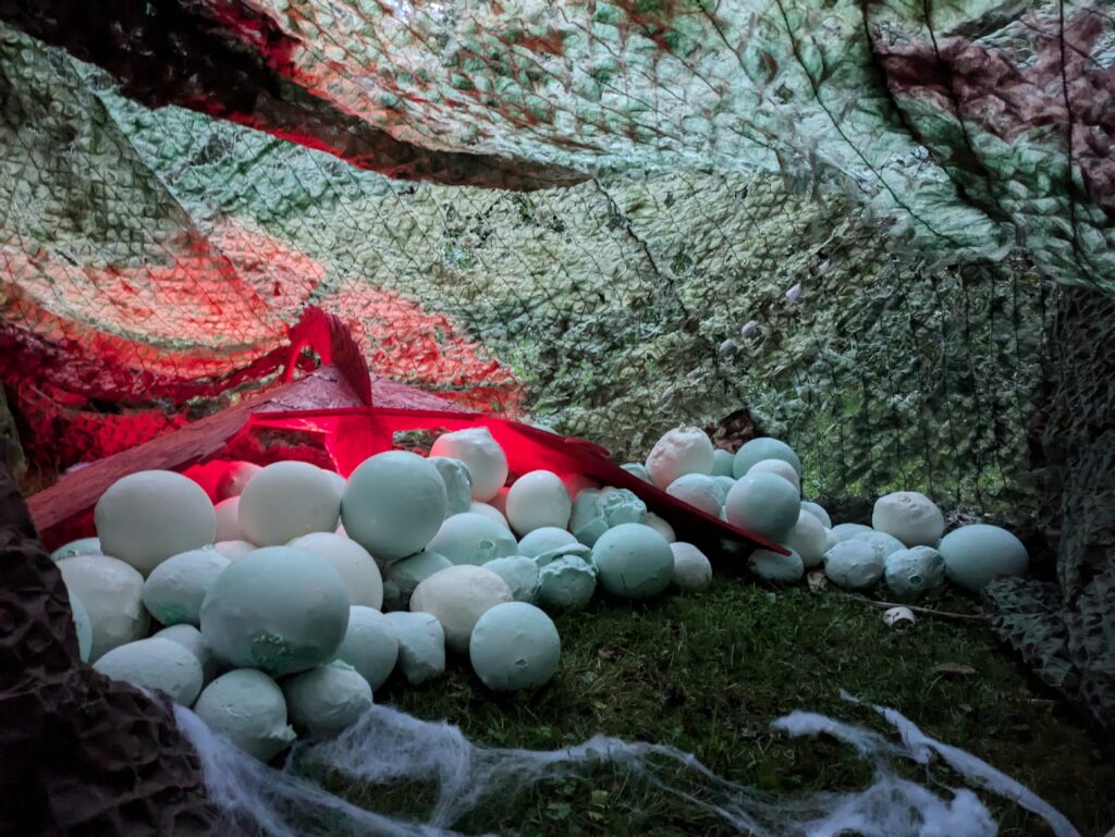 PXL_20240713_185715231