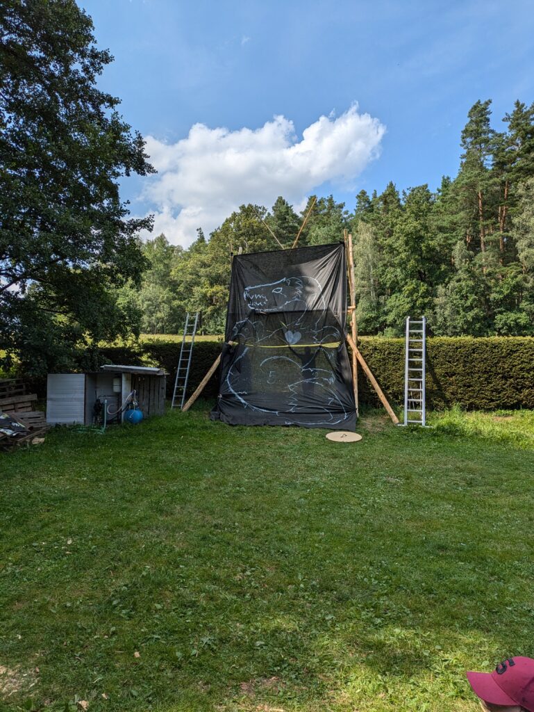 PXL_20240725_130135194