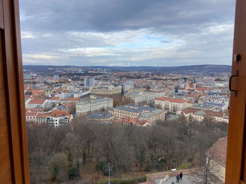 WhatsApp Image 2025-11-21 at 14.21.55