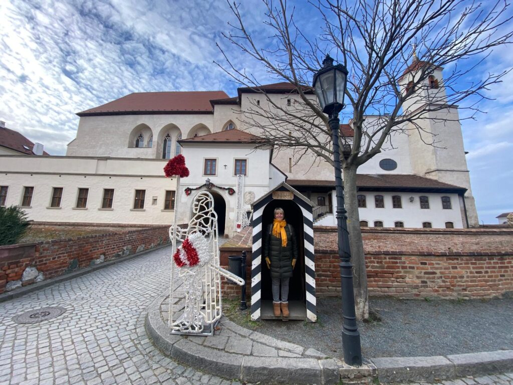 WhatsApp Image 2025-11-21 at 15.51.29 (1)