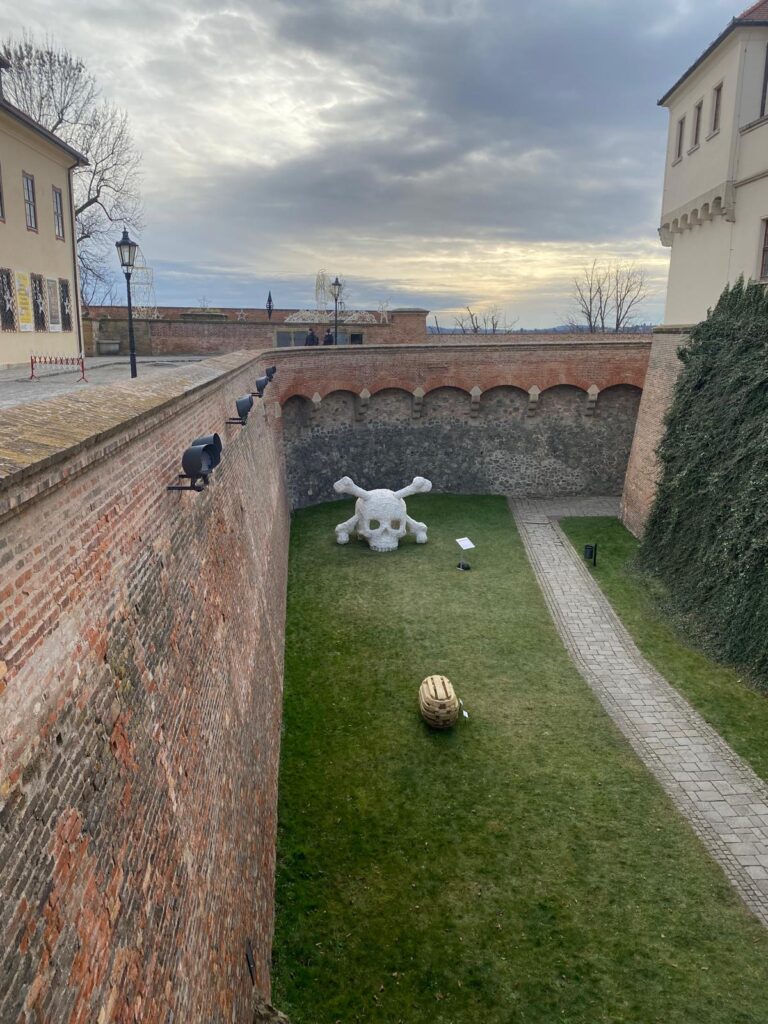 WhatsApp Image 2025-11-21 at 23.01.33 (1)