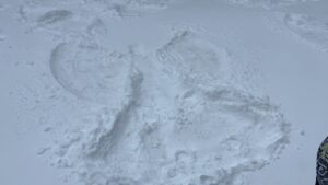 IMG_2478