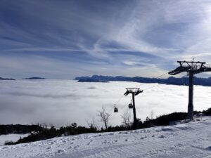 IMG_2537