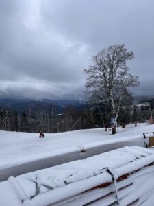 IMG_9627
