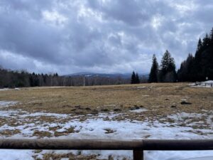IMG_9628