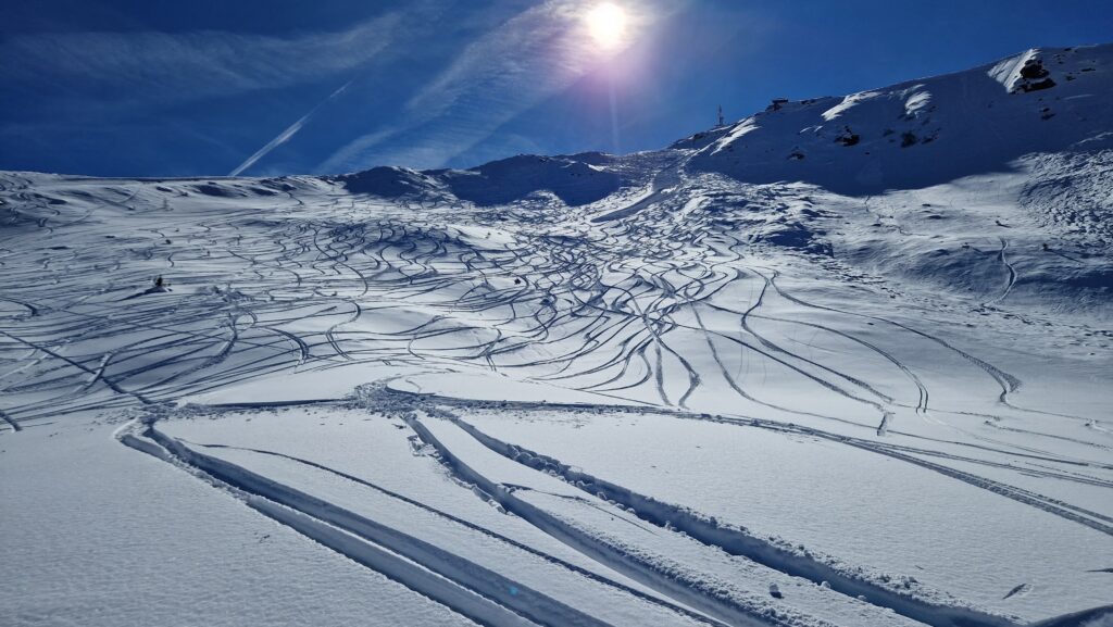 20260226-130532-20260226_130531