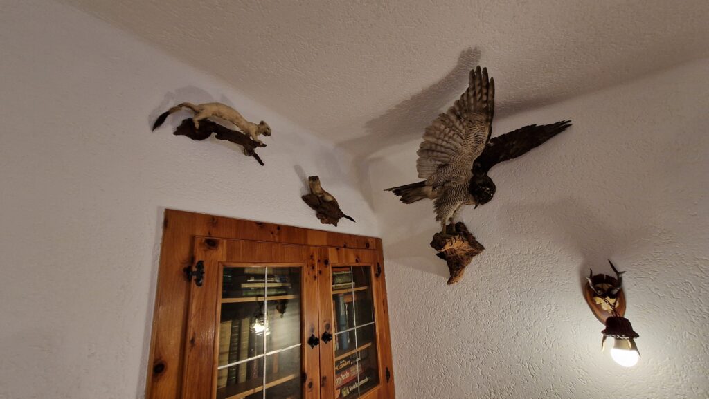 20260228-074900-20260228_074900