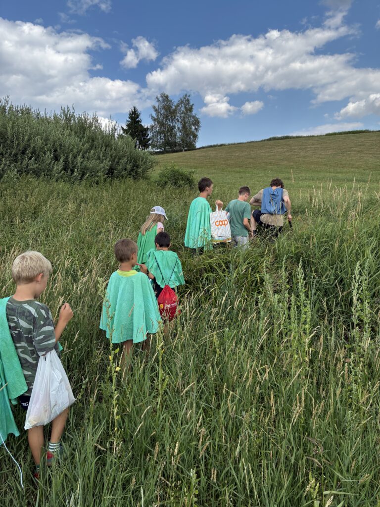 IMG_8954